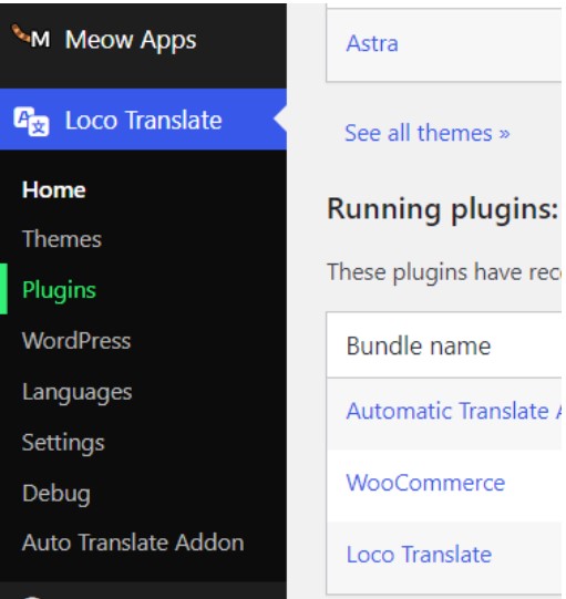 Loco Translate WooCommerce option